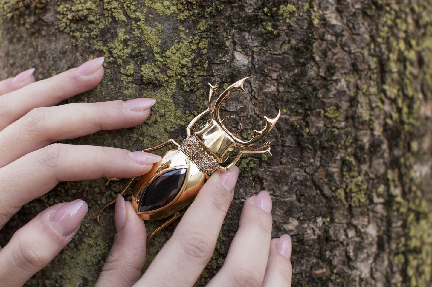 Black Diamond Beetle image 2