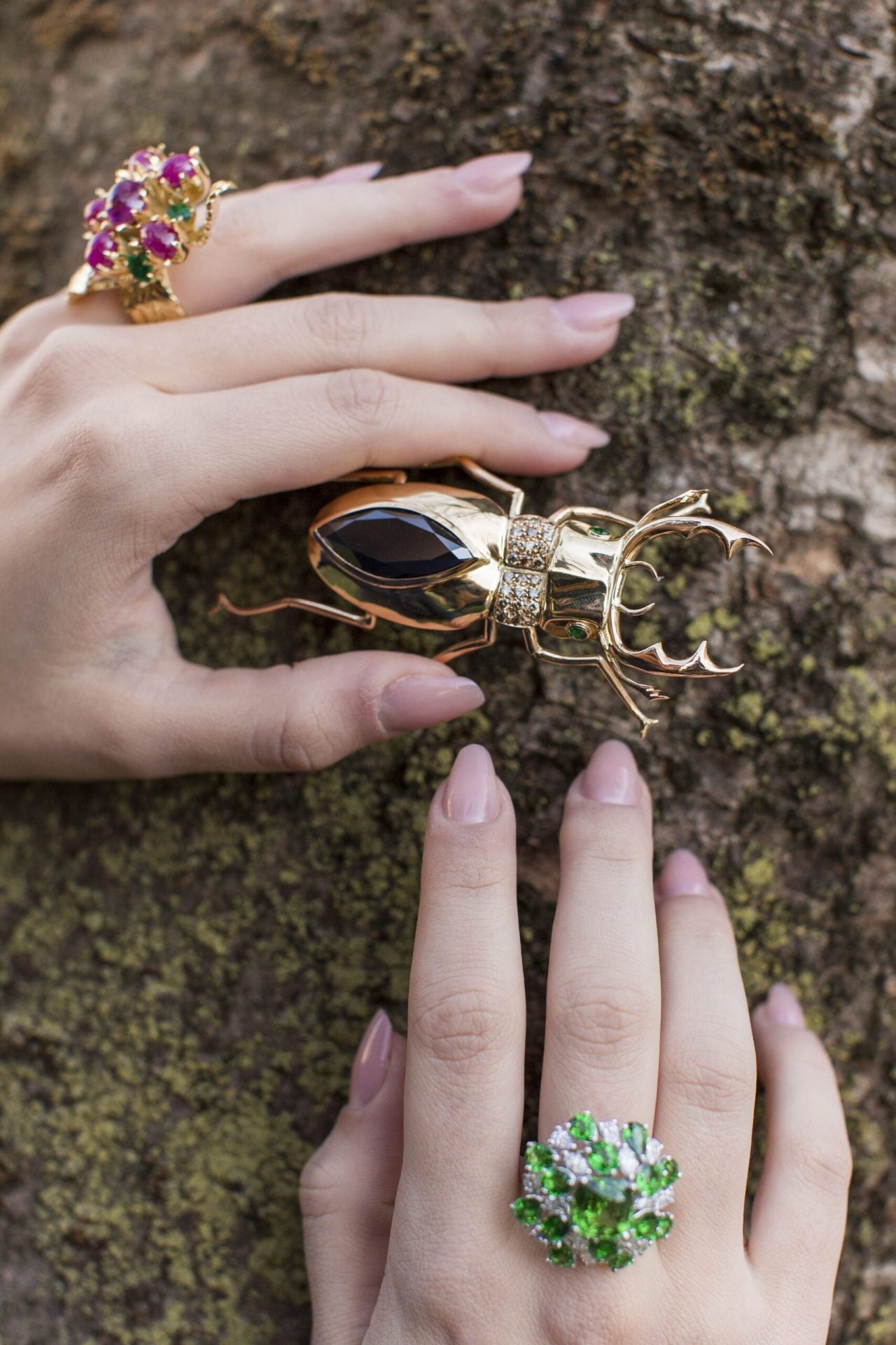 Black Diamond Beetle image 1